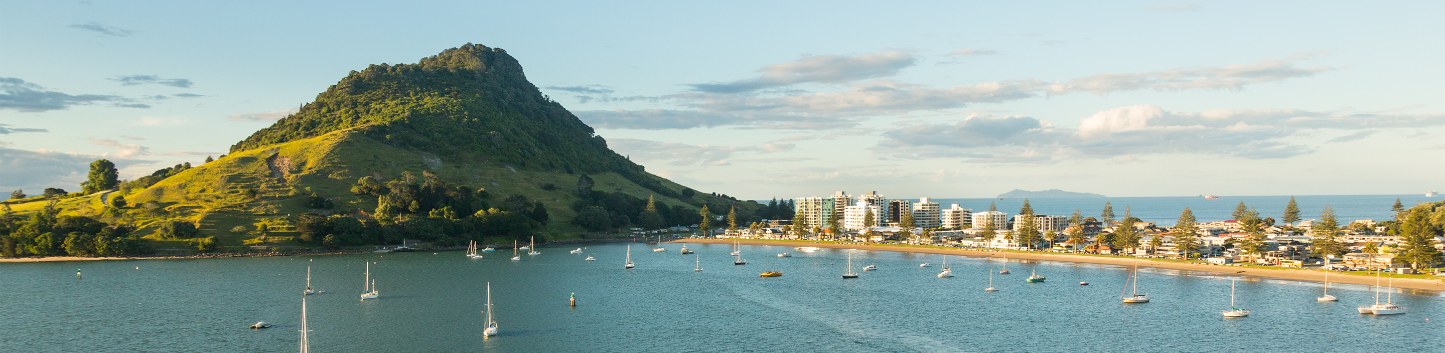 A scenic coastal landscape featuring a green, grassy mountain beside a harbor with sailboats and a shoreline lined with buildings and trees.